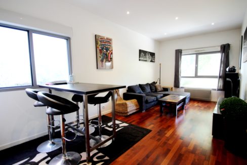 A vendre appartement T2 Bordeaux Bastide