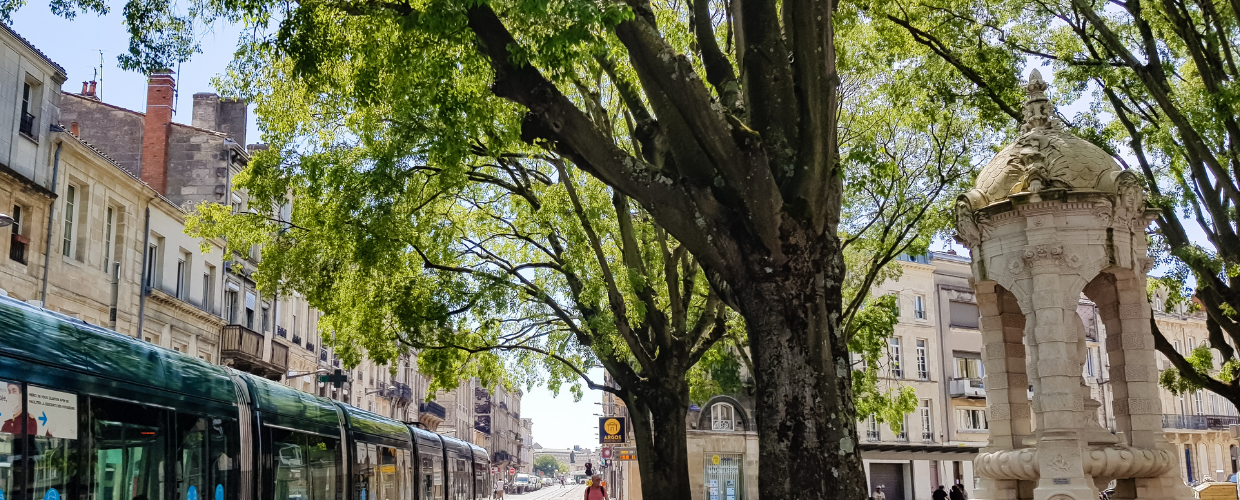 Rue Fondaudège à Bordeaux, Rue Fondaudège à Bordeaux, Bordeaux Clés en Main